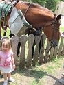 Jess_SFaire (45)
